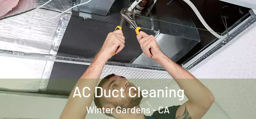 AC Duct Cleaning Winter Gardens - CA