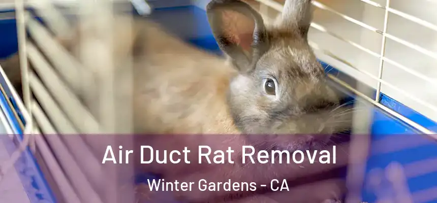  Air Duct Rat Removal Winter Gardens - CA