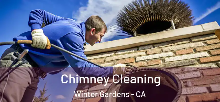  Chimney Cleaning Winter Gardens - CA