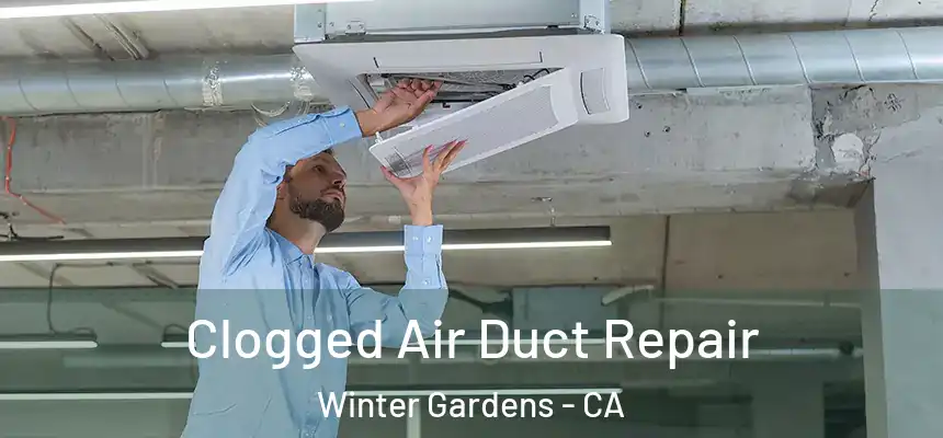  Clogged Air Duct Repair Winter Gardens - CA