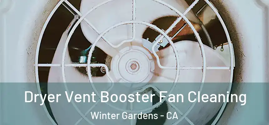  Dryer Vent Booster Fan Cleaning Winter Gardens - CA
