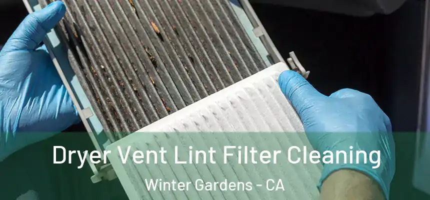 Dryer Vent Lint Filter Cleaning Winter Gardens - CA