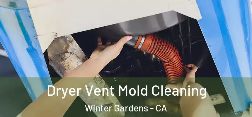 Dryer Vent Mold Cleaning Winter Gardens - CA