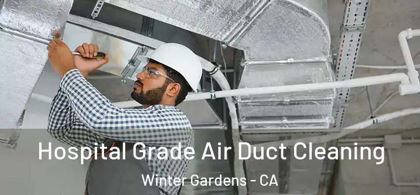  Hospital Grade Air Duct Cleaning Winter Gardens - CA