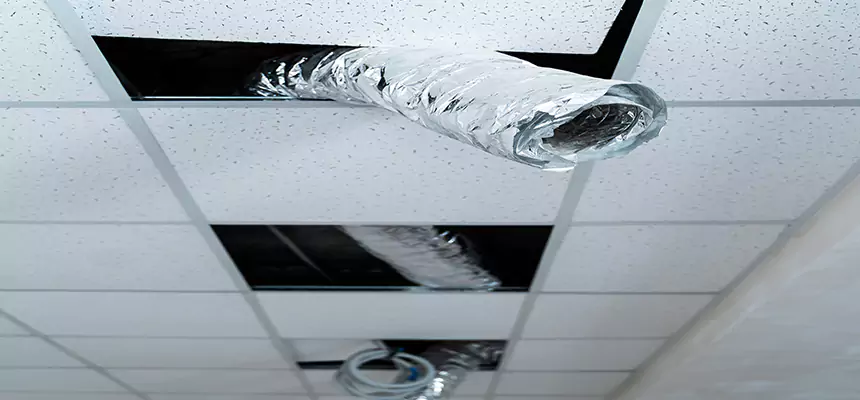 Affordable HVAC Sanitizing After Pest Removal in Winter Gardens