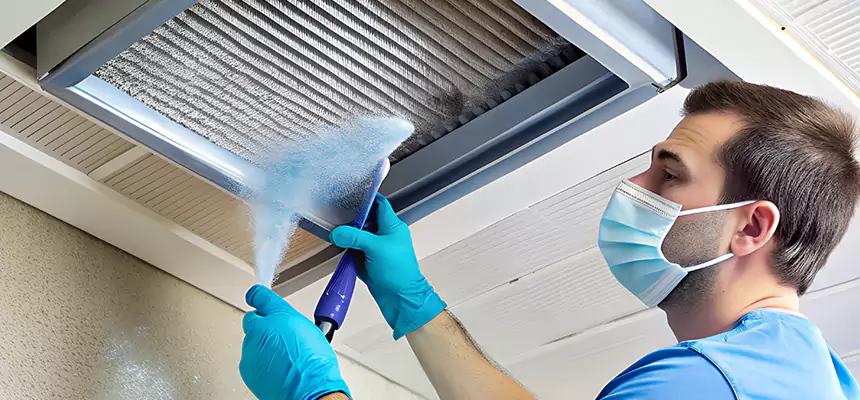 Proactive Dryer Vent & Auxiliary Duct Pollen Cleanup in Winter Gardens, CA