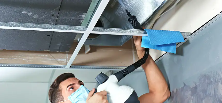 Our Air Duct Rodent Removal Services in Winter Gardens, CA