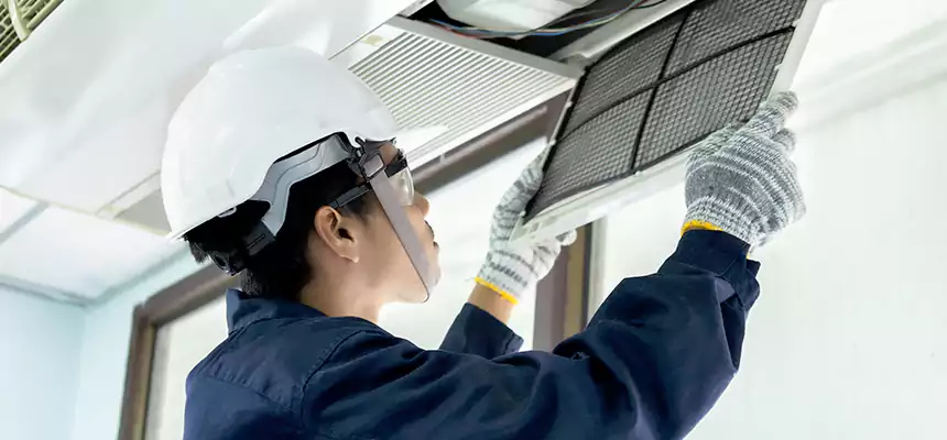 Our Mold & Mildew Removal from Air Ducts Services in Winter Gardens, CA