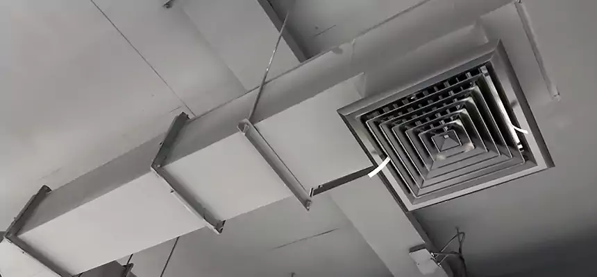 Our Rodent Droppings In Vents Services in Winter Gardens, CA