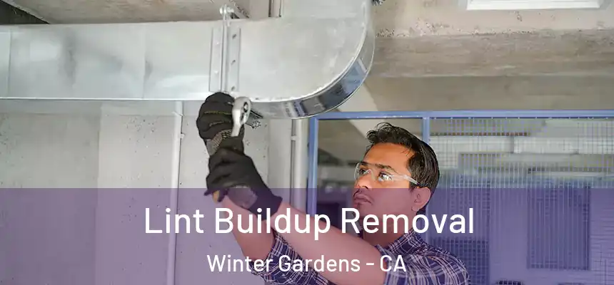 Lint Buildup Removal Winter Gardens - CA