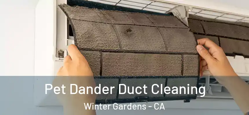 Pet Dander Duct Cleaning Winter Gardens - CA