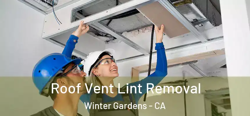  Roof Vent Lint Removal Winter Gardens - CA
