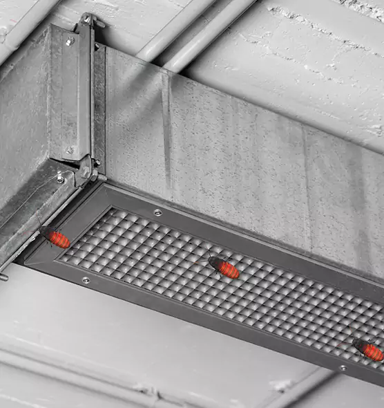 About Air Duct Cockroach Removal in Winter Gardens, CA
