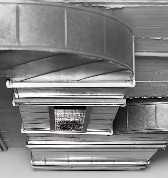 Professional Air Duct Pet Hair Removal in Winter Gardens, CA