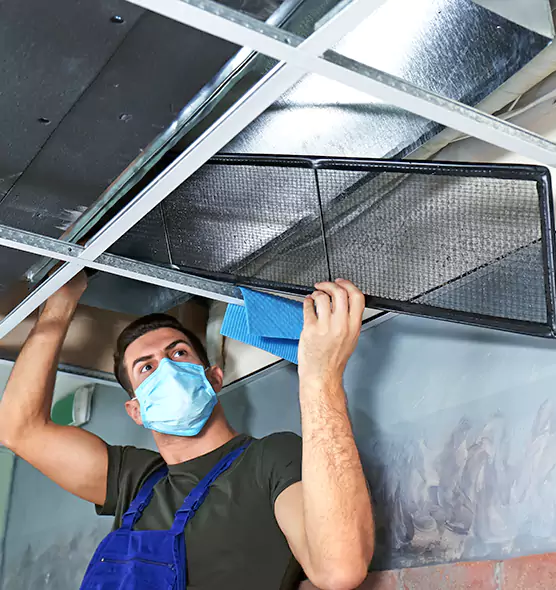 Professional Air Duct Pollen Cleaning in Winter Gardens, CA