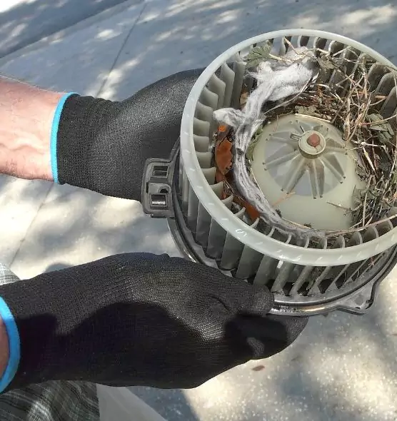 About Air Duct Rat Removal in Winter Gardens, CA