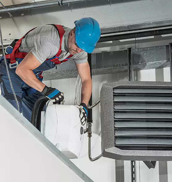 About HVAC Mold Remediation Service in Winter Gardens, CA