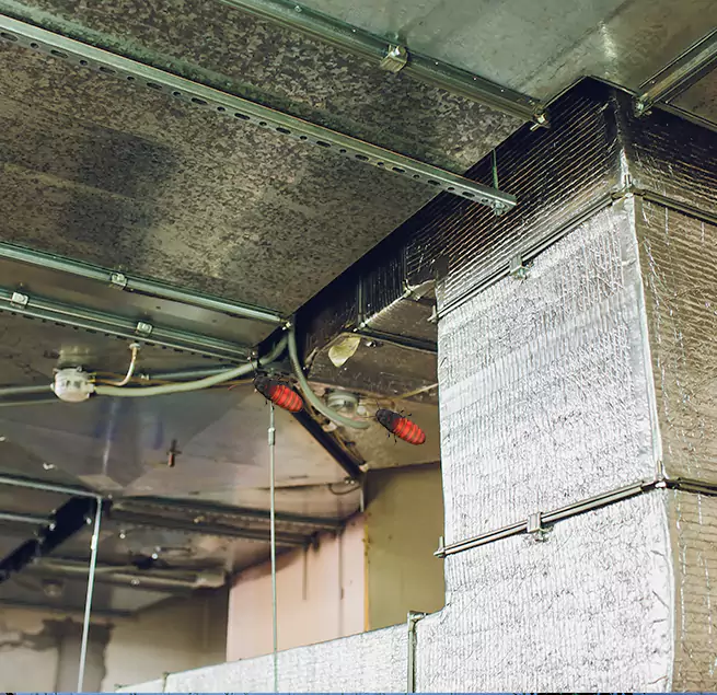 Why Homeowners & Businesses Trust Us in Winter Gardens, CA?