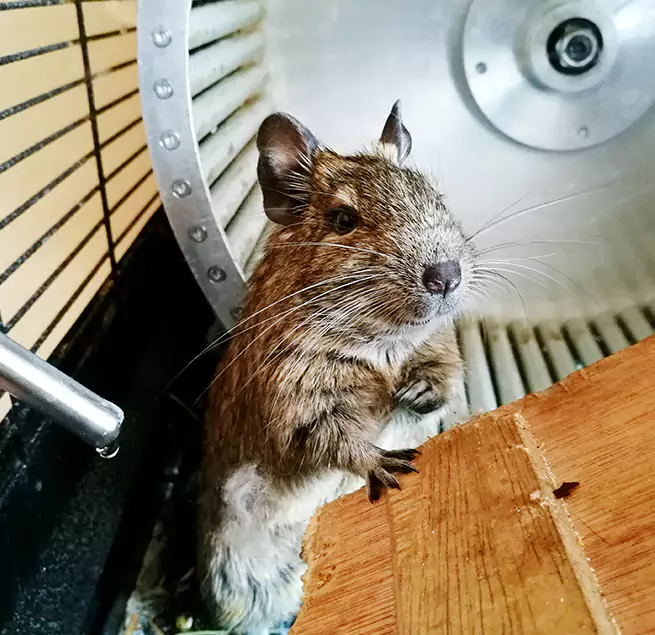 Why Homeowners & Businesses Trust Us Winter Gardens, CA