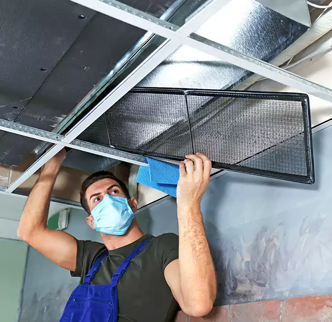 Why Homeowners Businesses Trust Us in Winter Gardens, CA