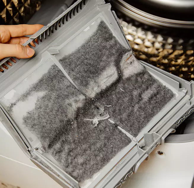 Why Homeowners & Businesses Trust Us Winter Gardens, CA?