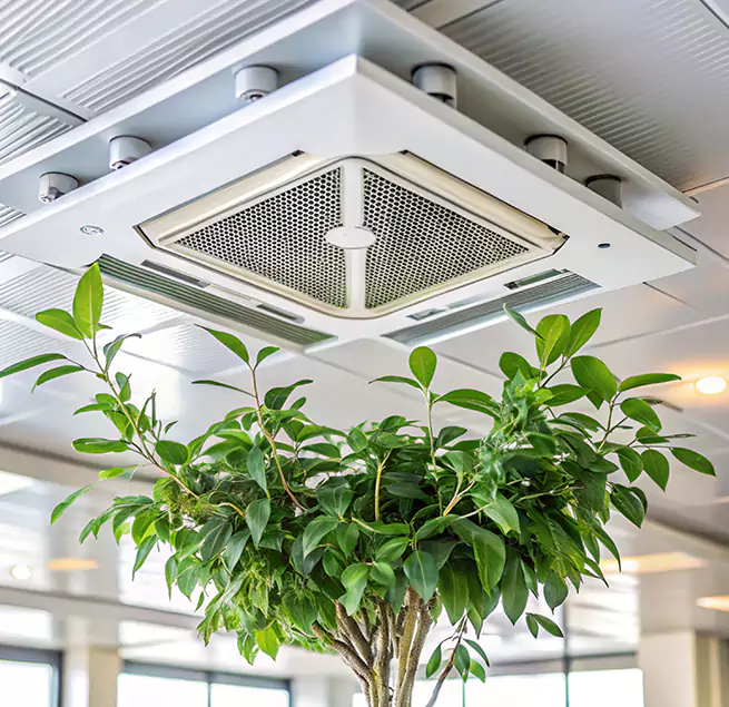 Why Homeowners & Businesses Trust Us in Winter Gardens, CA?