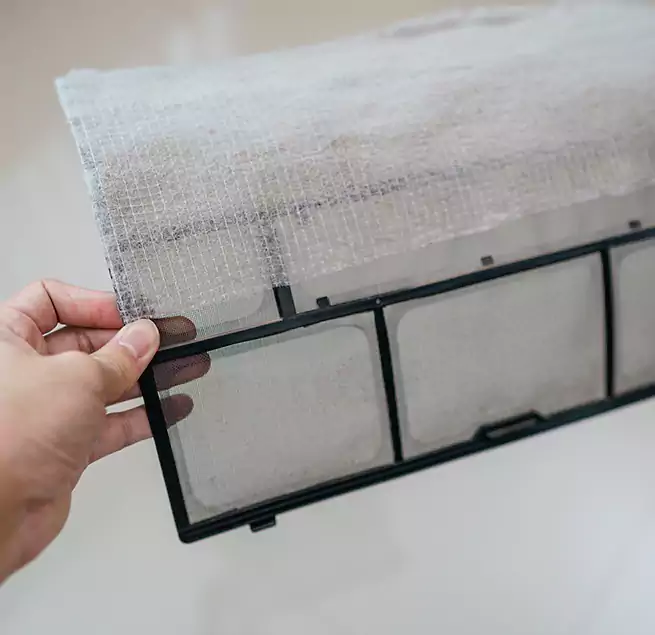 Why Homeowners & Businesses Trust Us in Winter Gardens, CA?