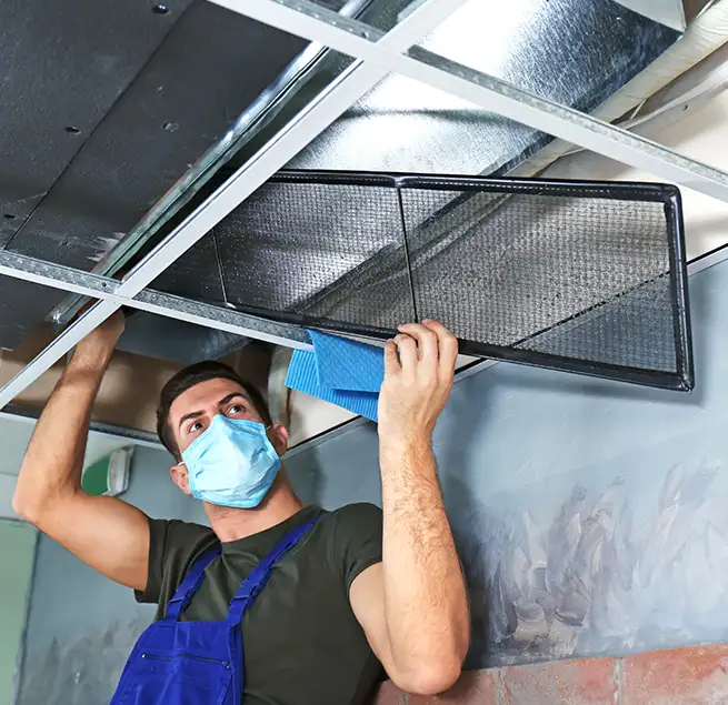 Why Homeowners & Businesses Trust Us in Winter Gardens, CA?