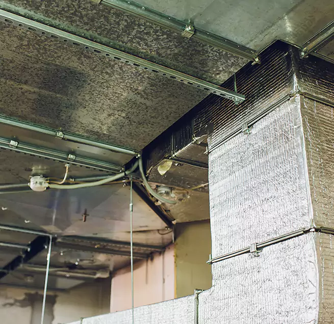 Why Homeowners & Businesses Trust Us in Winter Gardens, CA?