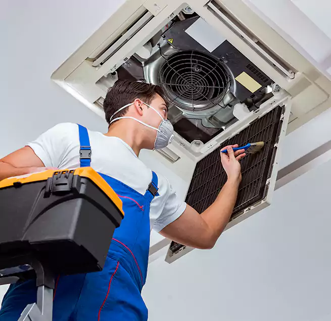 Why Homeowners & Businesses Trust Us in Winter Gardens, CA?